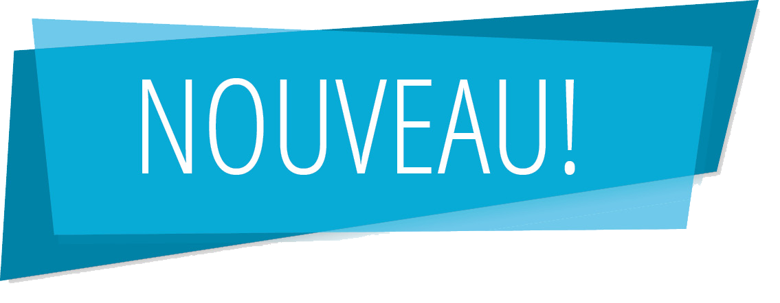 Éducateurs sportifs – Nouvelle plateforme depuis le 13 août !